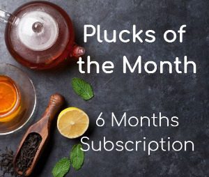 6 months subscription