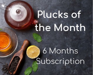 6 months subscription